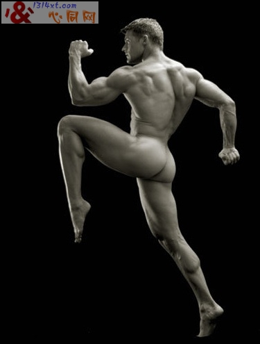 ŷ������ȫ��֫������д��