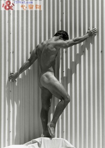 欧美男体全裸肢体艺术写真