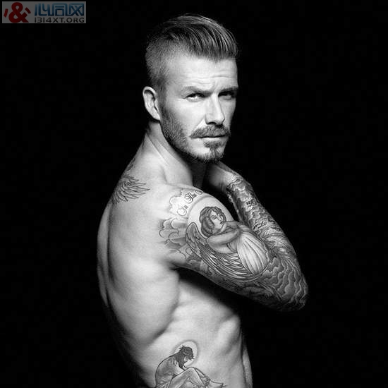 ˺ķDavid Beckham