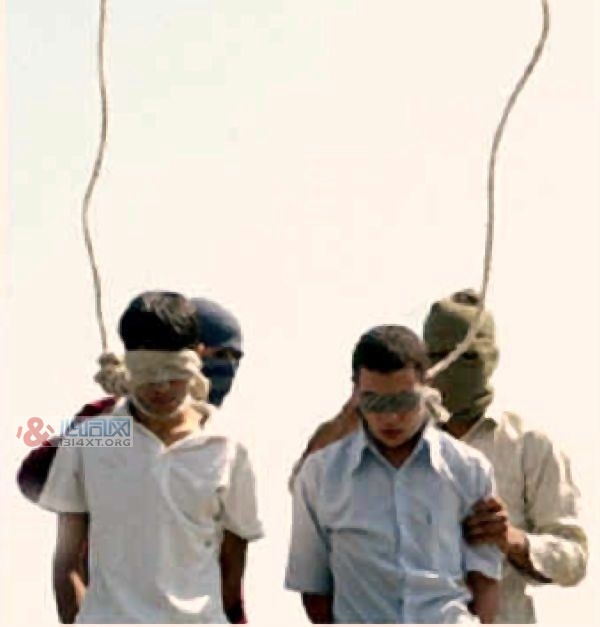 伊朗：非法同性性行为罪 两男同志遭处决